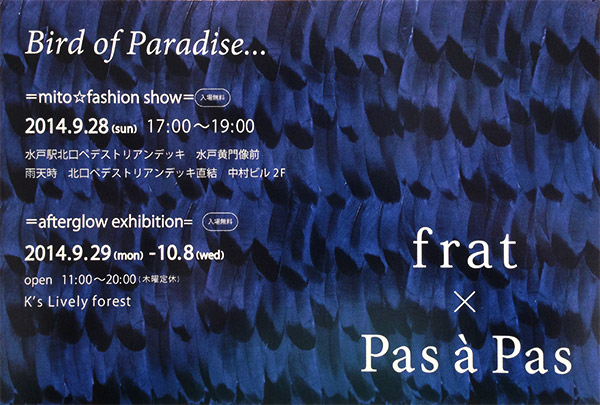 2014年09月28日…Bird of Paradise